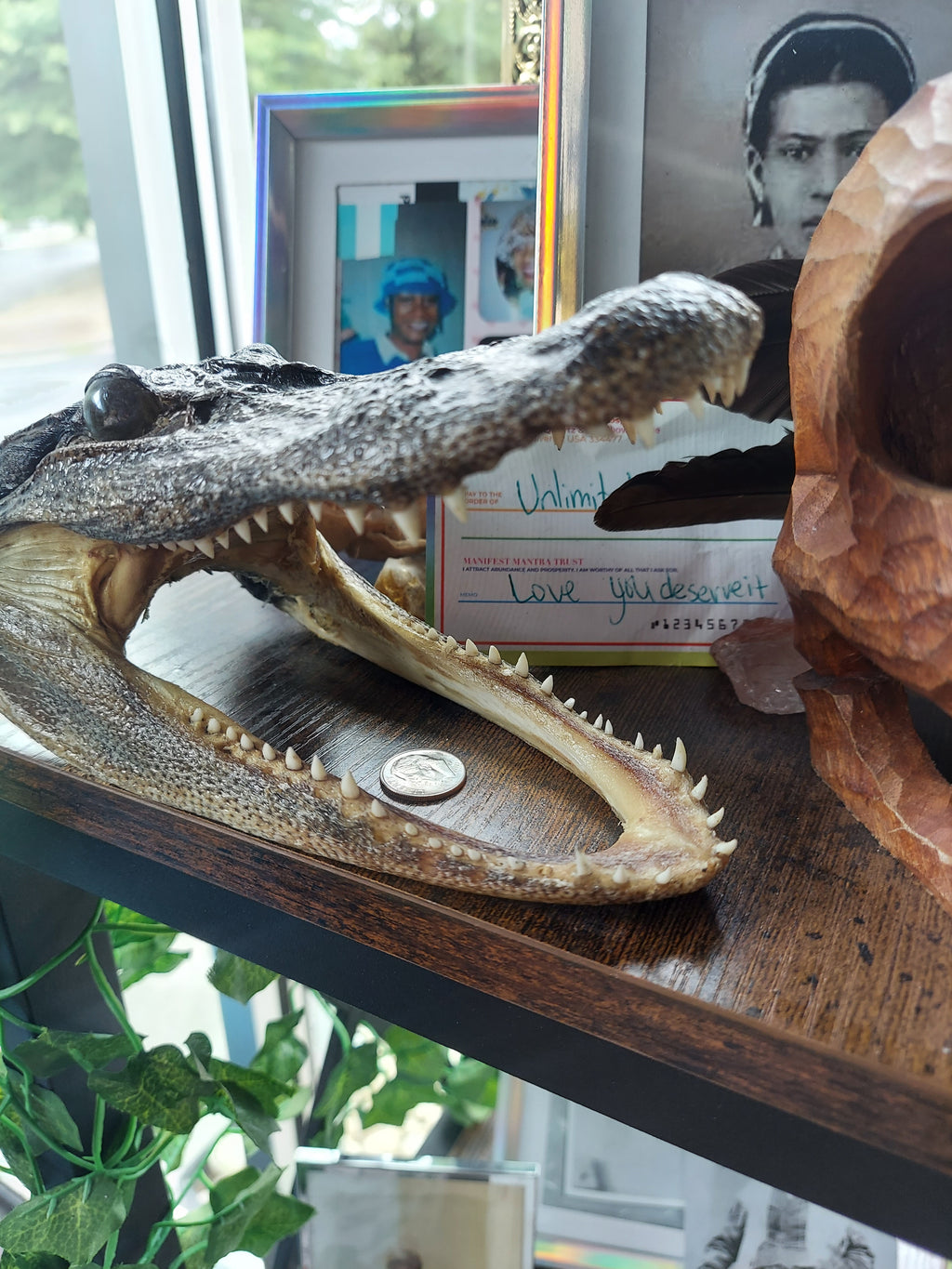 Alligator Heads (amulet)