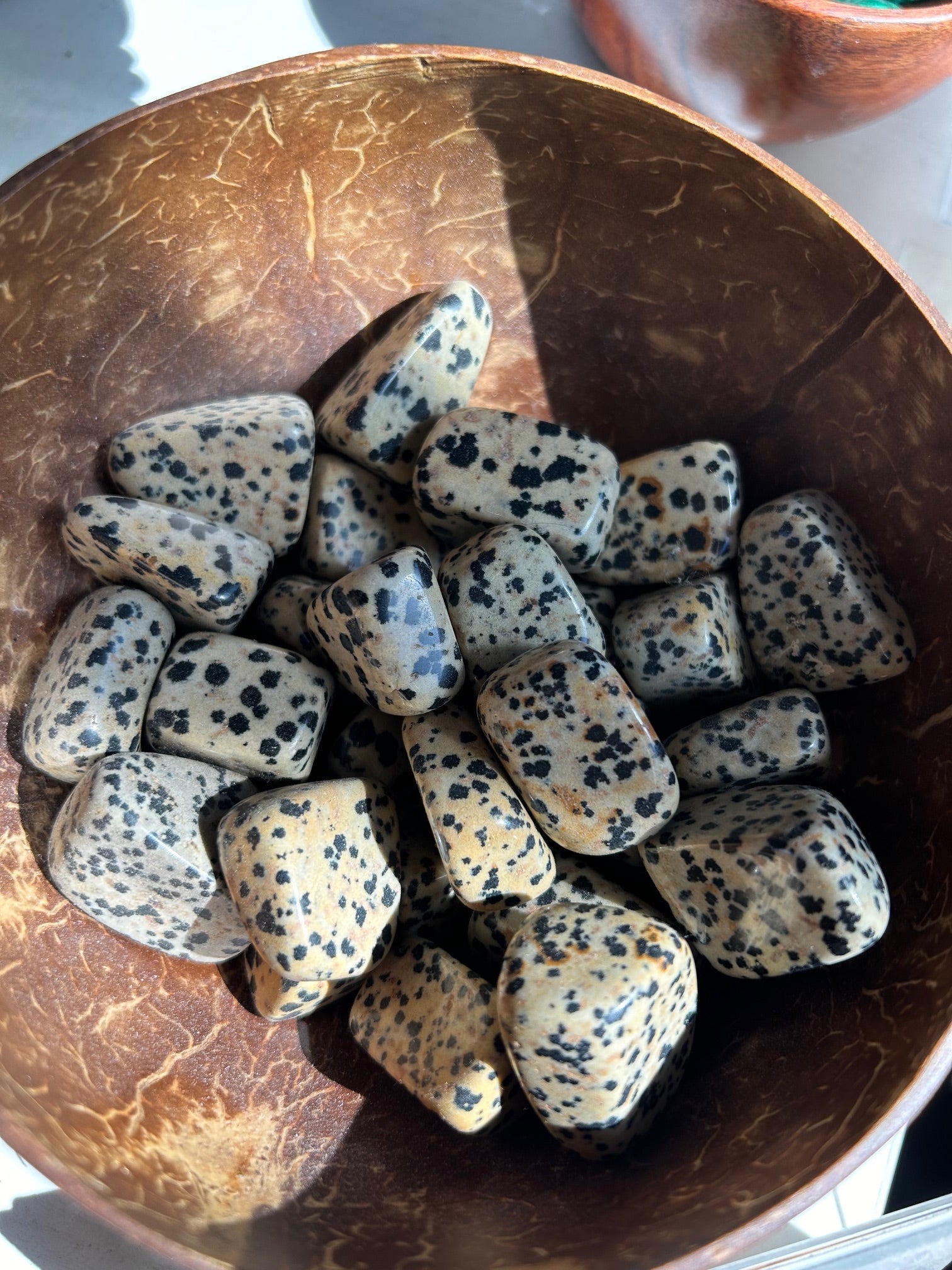 Dalmatian Jasper