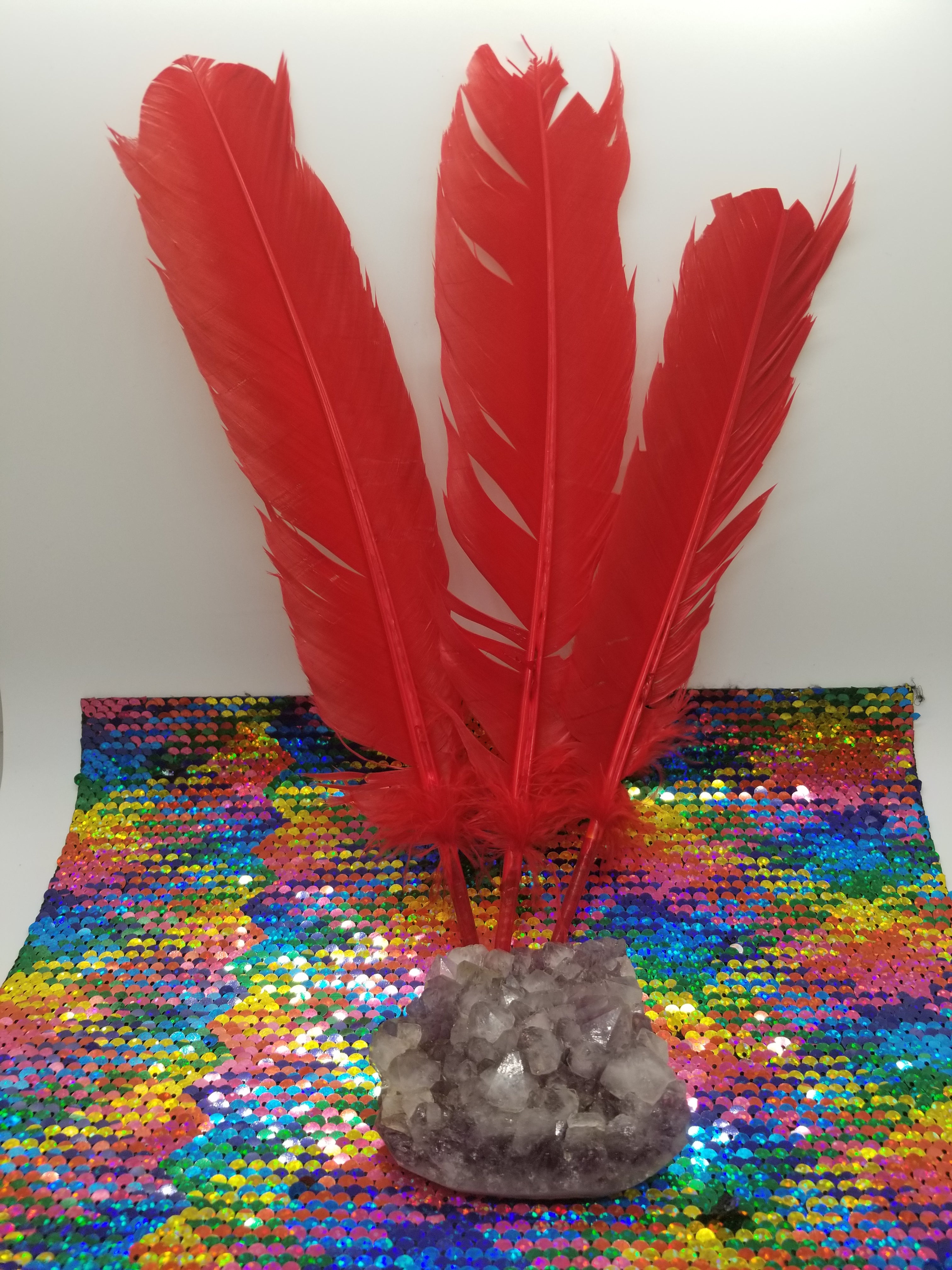 Red Parrot feather